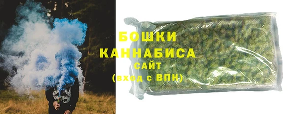 ПСИЛОЦИБИНОВЫЕ ГРИБЫ Рославль