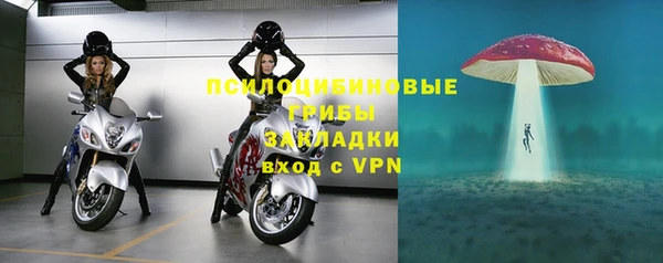 ПСИЛОЦИБИНОВЫЕ ГРИБЫ Сафоново