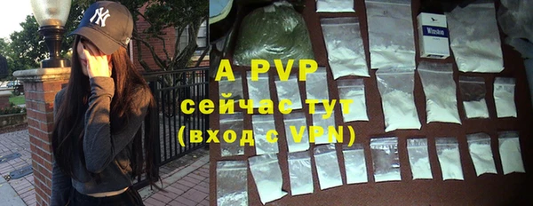 ПСИЛОЦИБИНОВЫЕ ГРИБЫ Сафоново