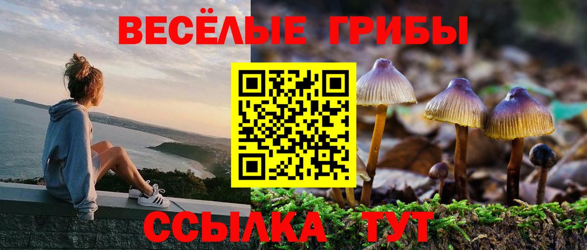 Псилоцибиновые грибы мухоморы Великий Новгород
