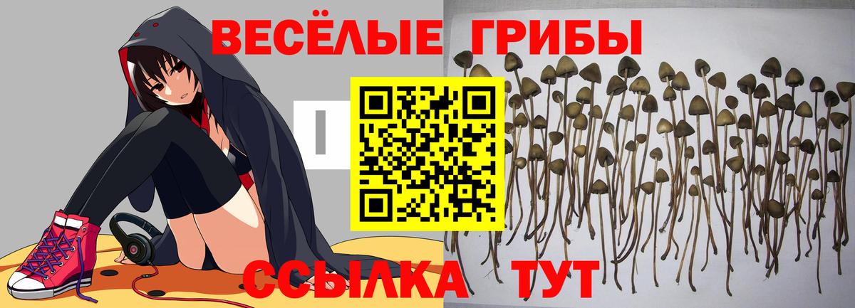 Псилоцибиновые грибы Magic Shrooms  Вход с VPN  Великий Новгород 