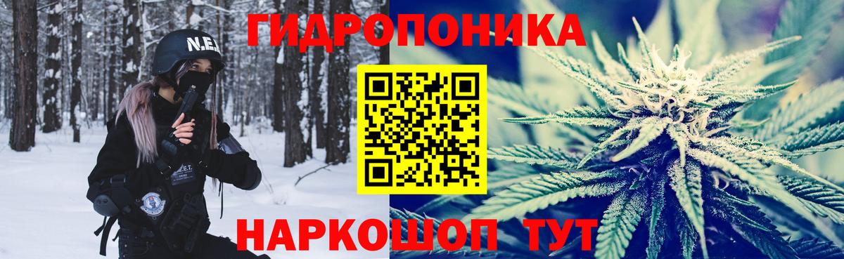 Великий Новгород  Конопля планчик  Бошки Шишки Amnesia  Бошки марихуана тримм  Вход с VPN 